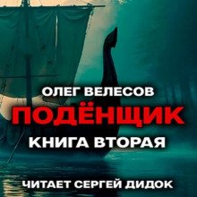 Подёнщик. Без права на перезагрузку 2