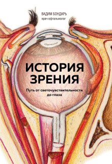 История зрения путь от светочувствительности до глаза