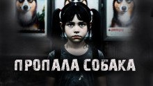 Пропала собака