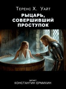 Рыцарь совершивший проступок