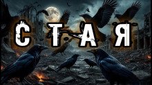 Стая